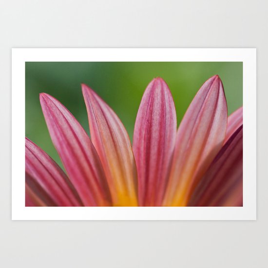 Crayola Petals Art Print