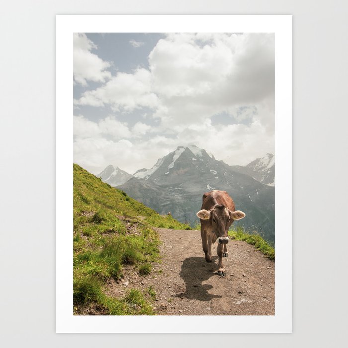 Switzerland Cow Art Print