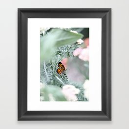 Butterfly Flutter Framed Art Print