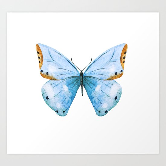 Butterfly 04 Art Print