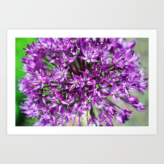 Purple Art Print