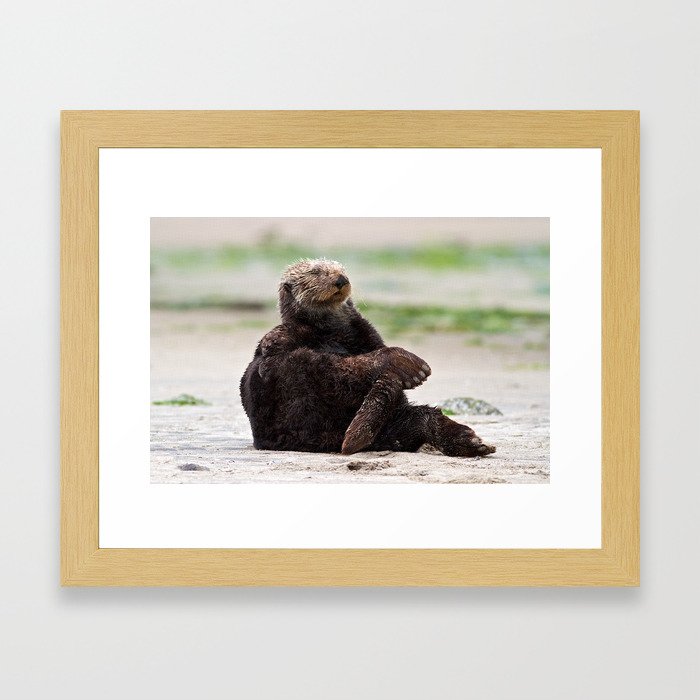 Zen Otter Framed Art Print