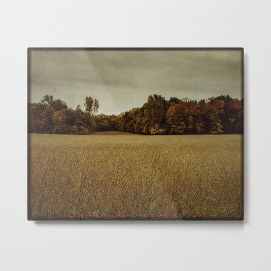 autumn field Metal Print