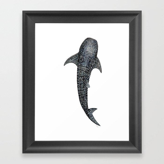 Whale shark for divers, shark lovers and fishermen Framed Art Print