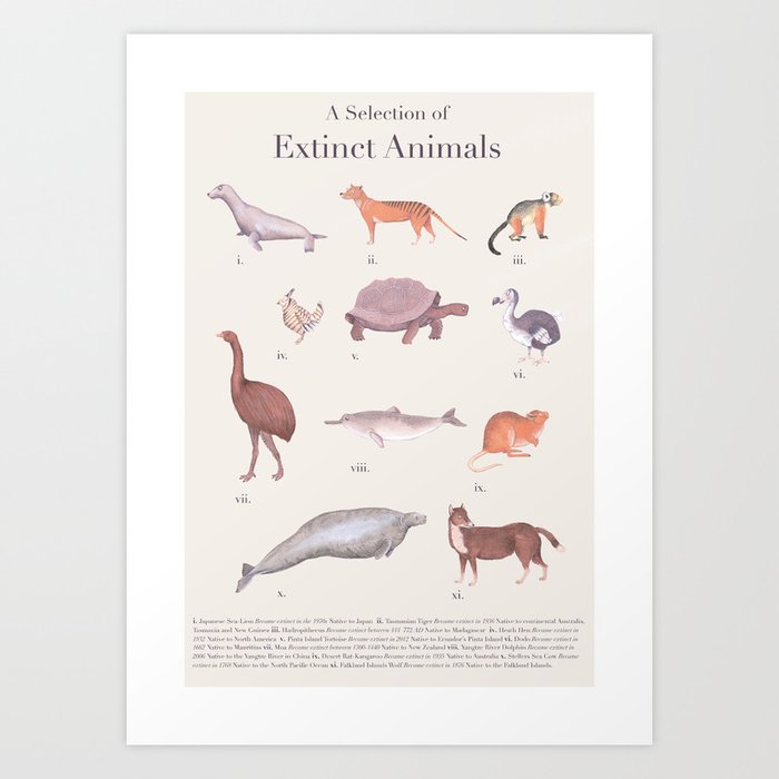 A Selection of Extinct Animals Art Print