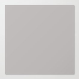 Essential Gray Canvas Print