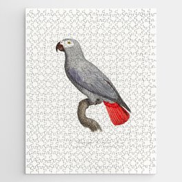 The Grey Parrot, Psittacus erithacus from Natural History of Parrots (1801&mdash;1805) by Francois Levaillant Jigsaw Puzzle