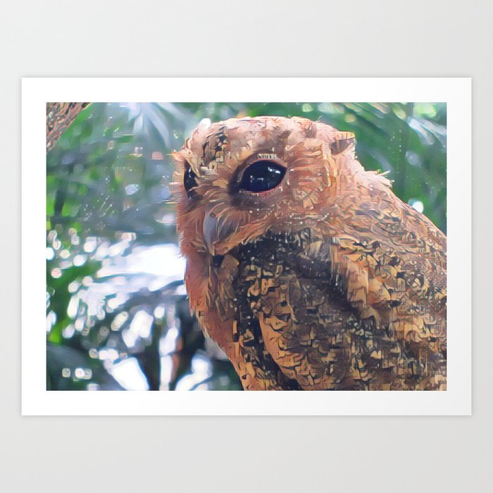 Small Cute Owl Closeup | Bird | Animal | Wildlife | Flying Creature | Nature Photography Art Art Print