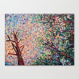 Forest  Canvas Print