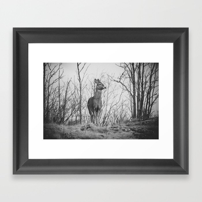 Deer II (black & white) Framed Art Print by holdfastdarling | Society6