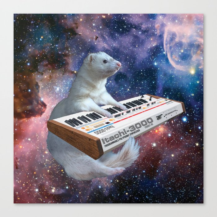 Space Ferret Canvas Print