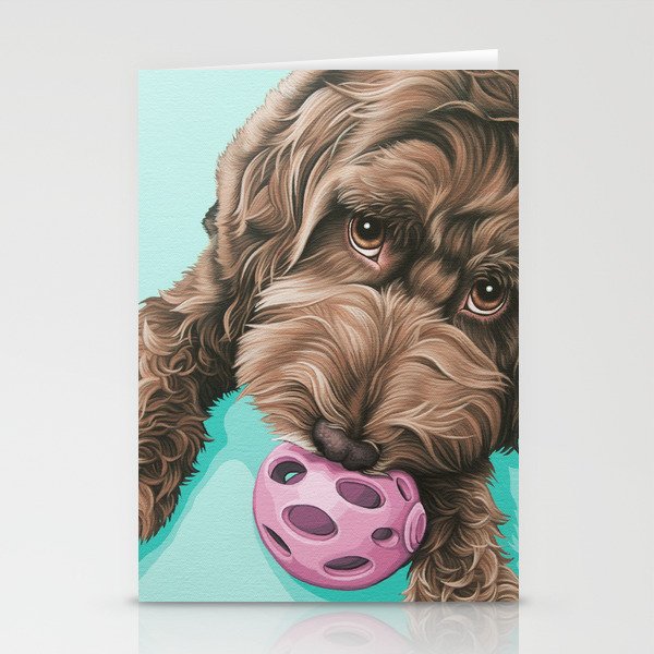 Labradoodle stuff hotsell