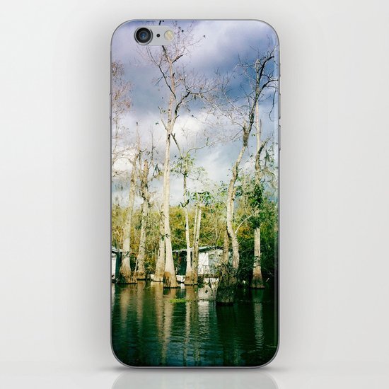 swamp land iPhone & iPod Skin