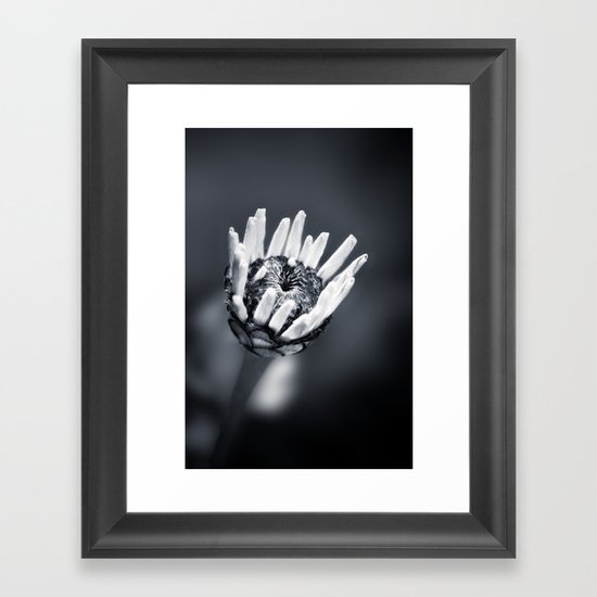 LIFE IN MONO - FILIGREE Framed Art Print