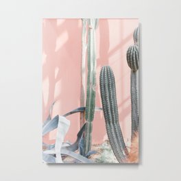 Travel photography print "pink wall and cactus"  botanical photo Metal Print