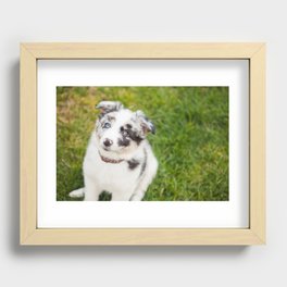 puppy Ben Recessed Framed Print