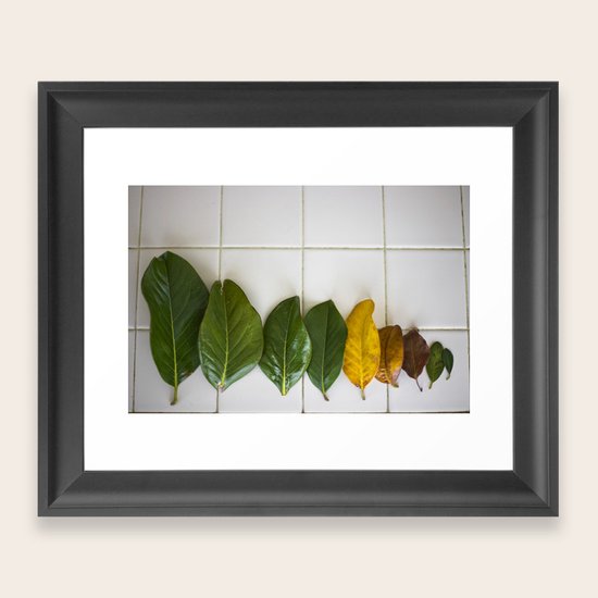 fall Framed Art Print