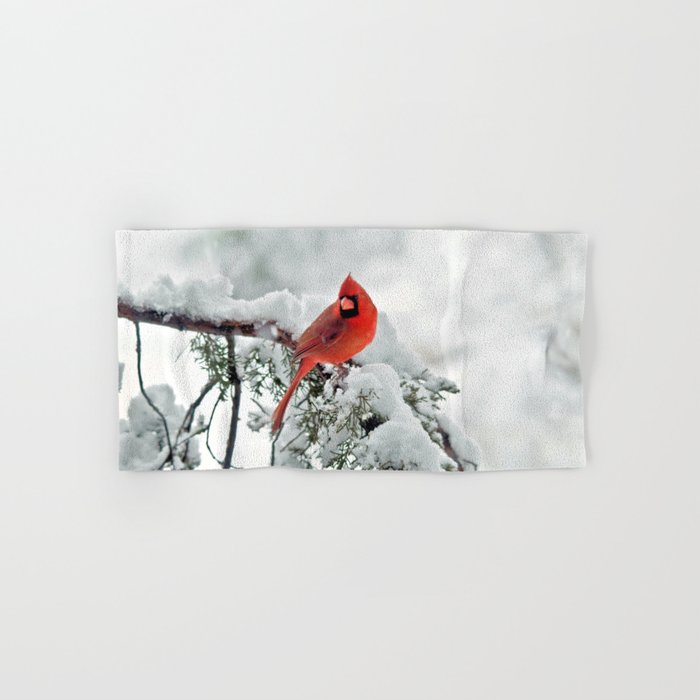 Cardinal on Snowy Branch (sq) Hand & Bath Towel