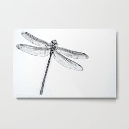 Dragonfly Metal Print | Blackandwhite, Digital, Photo, Black and White, Insect, Dragonfly 