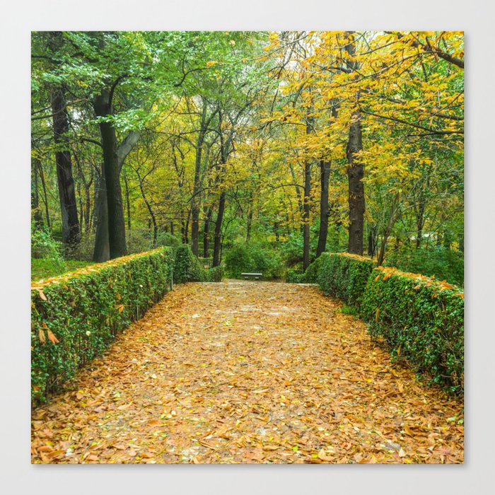 Spain Photography - Beautiful Park In The Forest Canvas Print