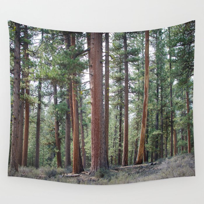 Ponderosa Pine Forest Wall Tapestry