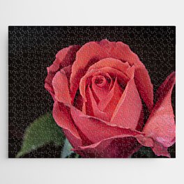 Single Red Rose Jigsaw Puzzle