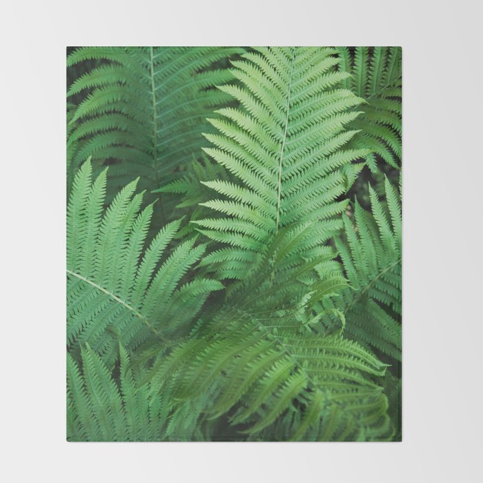 Fern Photography Tropical Leaves Nature Jungle Rainforest Tropical Minimalism Throw Blanket By Wildhood