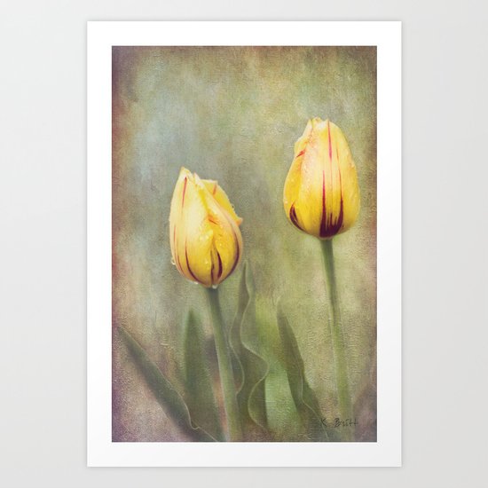 After the Rain Art Print