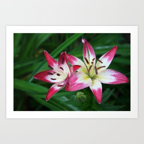 Three to go. Art Print