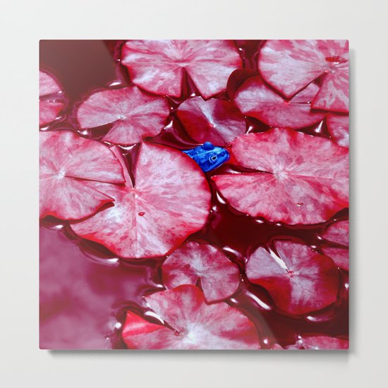 blue frog VI Metal Print