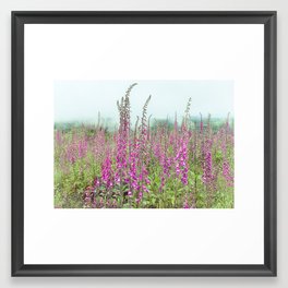 Foxglove Wildflowers Framed Art Print