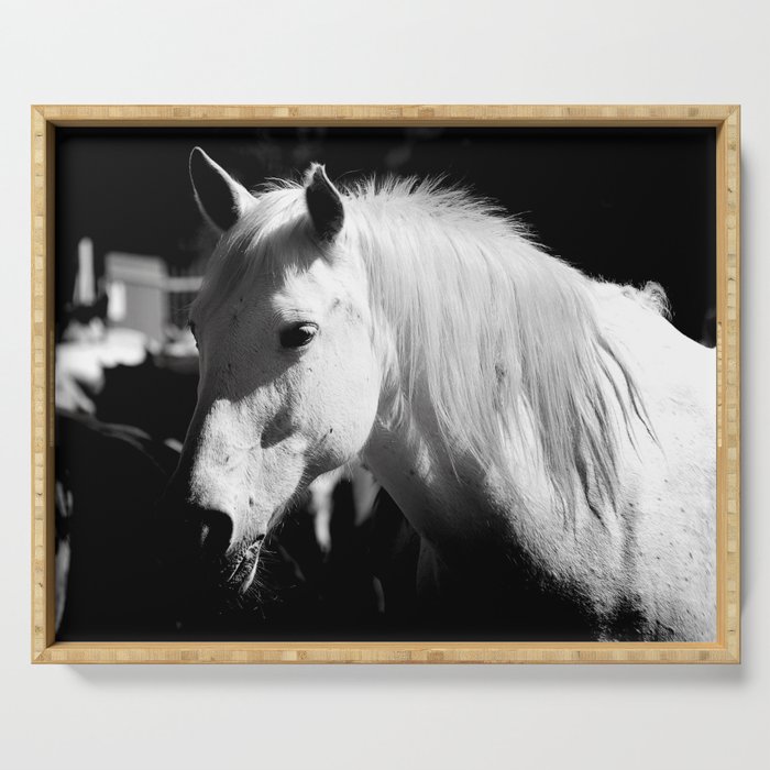 White Horse-Dark Serving Tray
