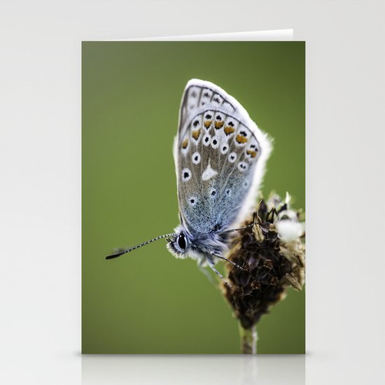 Common Blue Butterfly 2 Stationery Cards