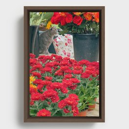Spot the Kitty Framed Canvas