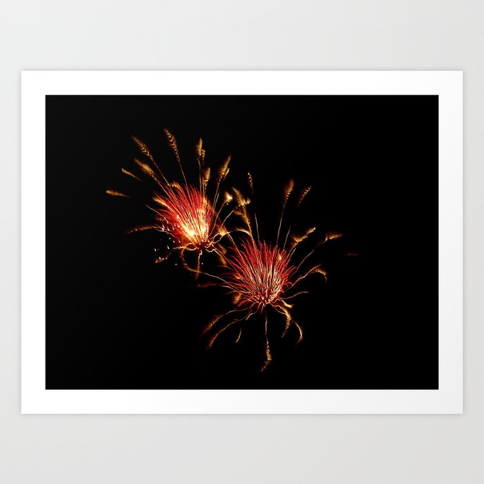 fireworks2 Art Print