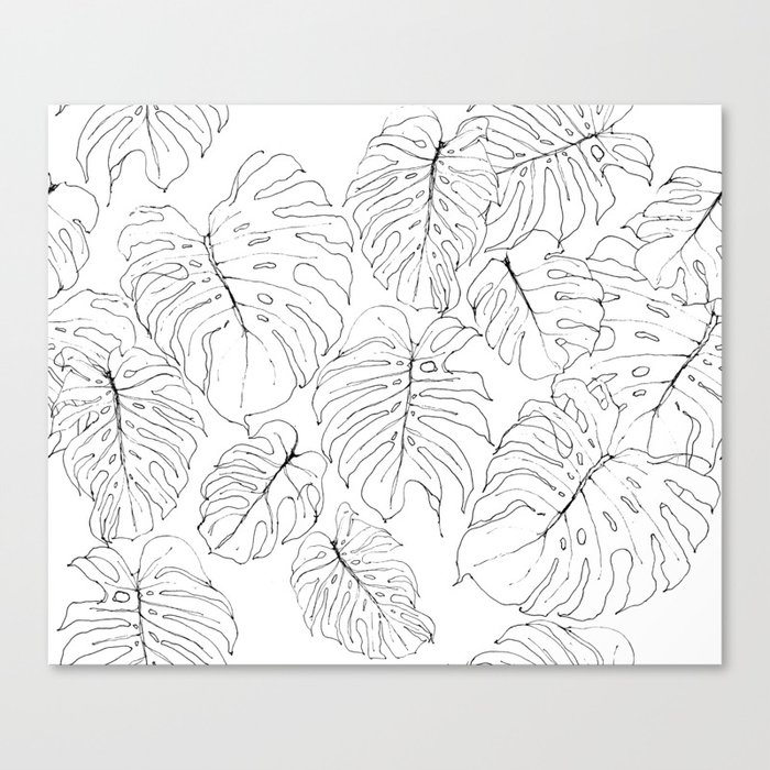 Get Wallpaper Monstera Deliciosa Delicious Monster Leaves Canvas Print By Free HD