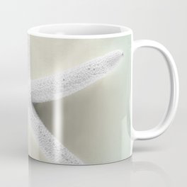 Mint Green Starfish Seashell Art! "ArtfulNotions #144"  Coffee Mug