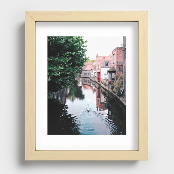 Swan in Belgium Recessed Framed Print