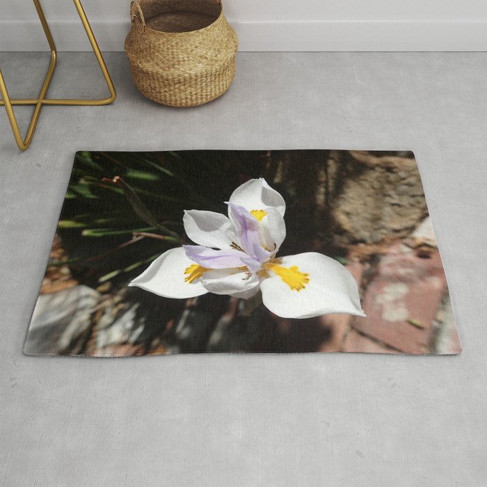 Fortnight Lily Rug