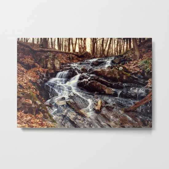 a stream in the woods Metal Print