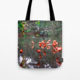 Flamingos at the zoo Tote Bag