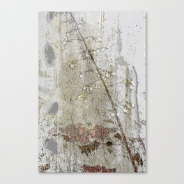 Beauty of nature Canvas Print