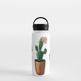 Three Cacti With Flowers On White Background Water Bottle