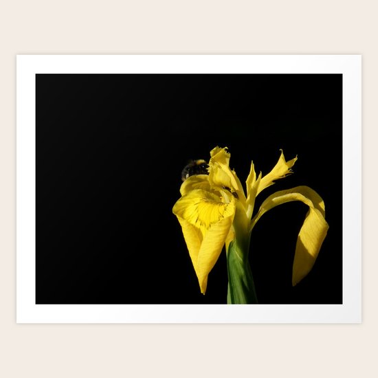 Busy Art Print