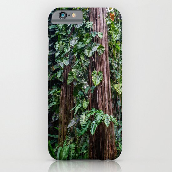 Hawaii Tropical Botanical Garden iPhone & iPod Case