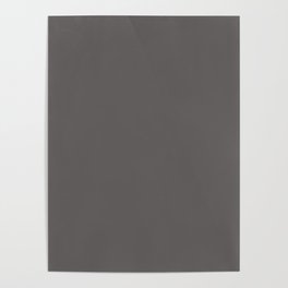 Dark Gull Gray solid color. Dusty Neutral color plain pattern Poster