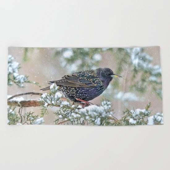 Mardi Gras Starling Beach Towel