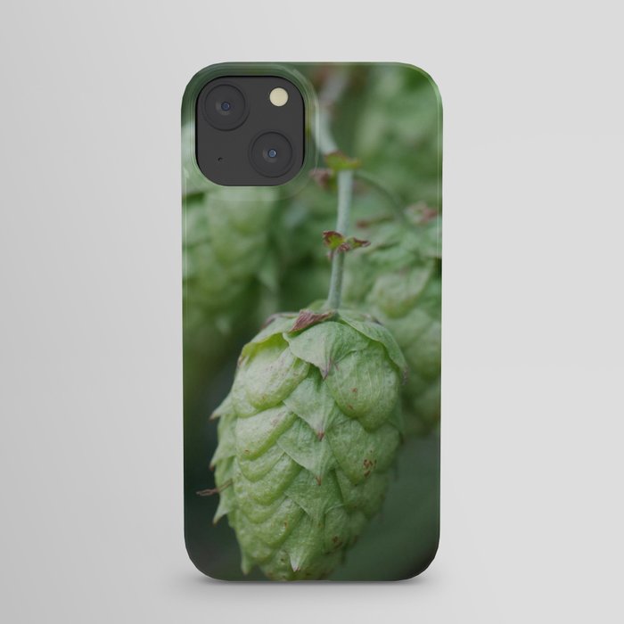 Humulus lupulus, the Common Hop iPhone Case