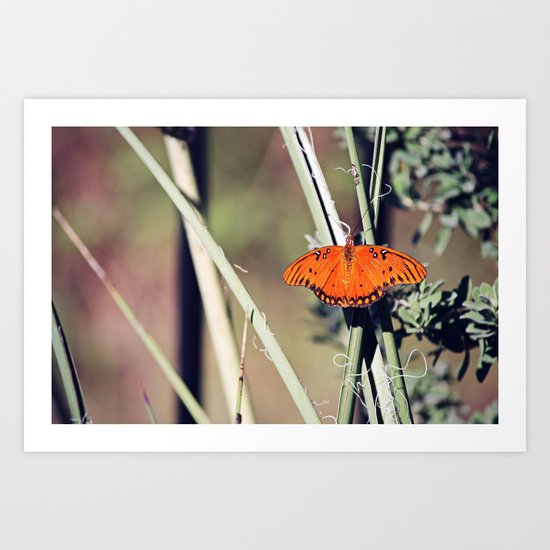 Orange Butterfly Art Print