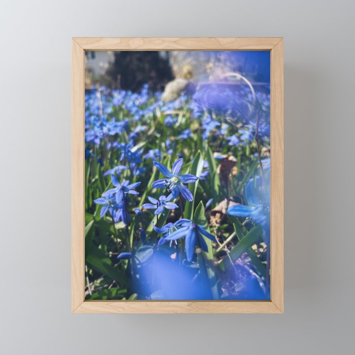 Fleur I Framed Mini Art Print